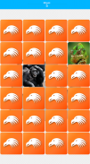 Coppie: Animali screenshot 7