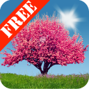 Spring Trees Free Icon