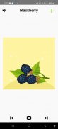 Fruit & Animal Names screenshot 3