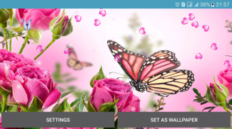 Butterflies Live Wallpaper screenshot 8