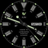 Diver Classic LE  Wear OS4 screenshot 9