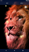 Brave Lion Live Wallpaper screenshot 2
