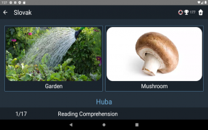 Slovak Language Tests screenshot 14