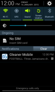 Jamaica Gleaner screenshot 0