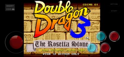 The Sacred Rosetta Stones Double Dragon 3 screenshot 0