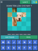 đoán tên các loài chó screenshot 14