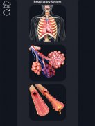 Respiratory System Anatomy Pro. screenshot 2