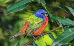 Nizza Birds Puzzle screenshot 3