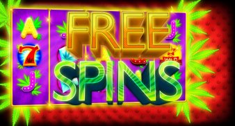 Slots Weed Marijuana Casino - cannabis bud machine screenshot 4