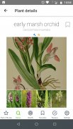 Atlas roślin:rozpoznaj offline screenshot 2