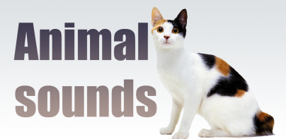 Animal sounds