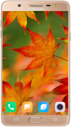 Autumn Wallpaper HD screenshot 1