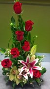 Blumen Bilder Gif screenshot 7