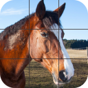 Beautiful Horses Puzzle