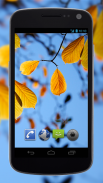 Autumn Leaves Video Wallpaper screenshot 3