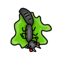 Ant Squash icon