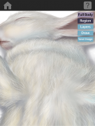 The Visible Bunny screenshot 3