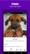 Petfinder - Adopt a Pet screenshot 2