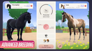 Equestrian the Game screenshot 3