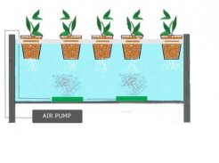 hydroponic grow system screenshot 0