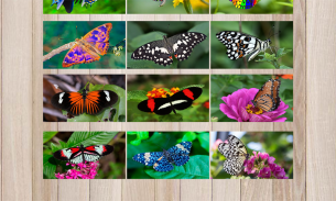 Butterfly Puzzle Jigsaw (Rompecabezas de mariposa) screenshot 7