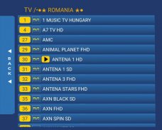 IPTV Romania - canale romanesti screenshot 3