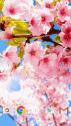 Sakura Wallpaper screenshot 0