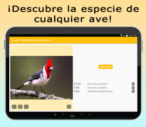 AvesID - Identifica aves screenshot 1