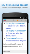 Polish Dictionary & Thesaurus screenshot 7