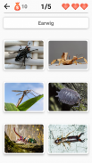 Animals -Quiz about Mammals, Birds, Fish!Zoo quiz. screenshot 6