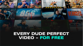 Dude Perfect screenshot 0