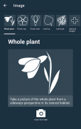 Flora Capture - a sua colecção de plantas digitais screenshot 3