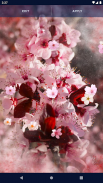 Sakura Flower Live Wallpaper screenshot 1
