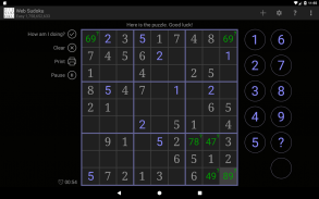 Web Sudoku screenshot 14