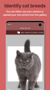 Cat Scanner - Identify Cat Breeds screenshot 1