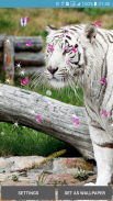 Bengal Tiger Live Wallpaper screenshot 4