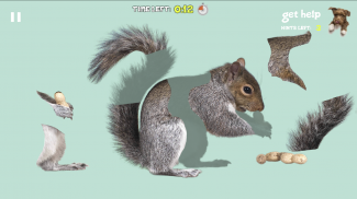 Animal Puzzles screenshot 6