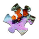 Sea Life Jigsaw Puzzles