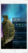 Kura-kura di ponsel - Lelucon screenshot 4