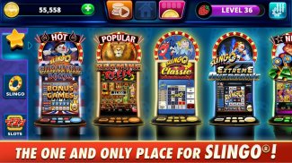 Slingo Arcade: Bingo Slots Game screenshot 0