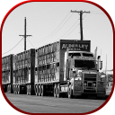 Cargo Truck Transporter: Fork Icon