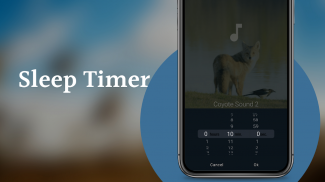 Coyote Sounds & Calls screenshot 4