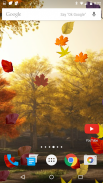 Colorful Autumn Live Wallpaper screenshot 8