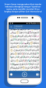 Al Quran Tajwid - Dream Quran screenshot 7