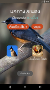 White-rumped shama screenshot 1