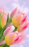 Tulips Live Wallpaper screenshot 5