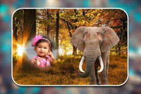 Wild Animal Photo Frames screenshot 2