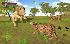 Cougar Lion Simulator 2021 – Predator Lion Games screenshot 2