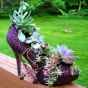 creative flower pots from used goods