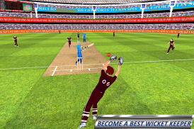 Wicket Keeper screenshot 9